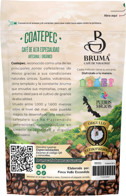 Orígen Coatepec