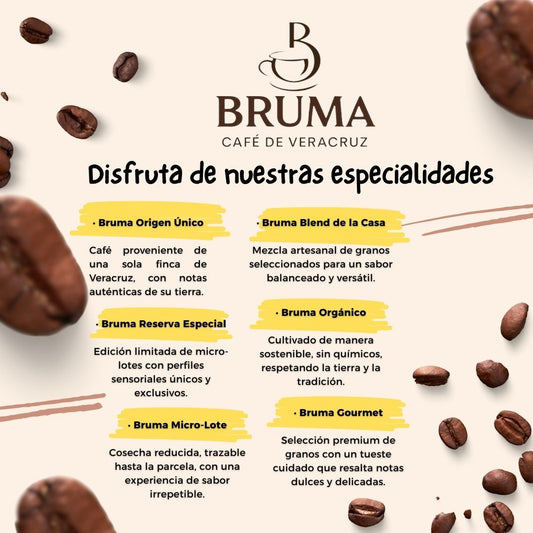 Bruma Especialidades