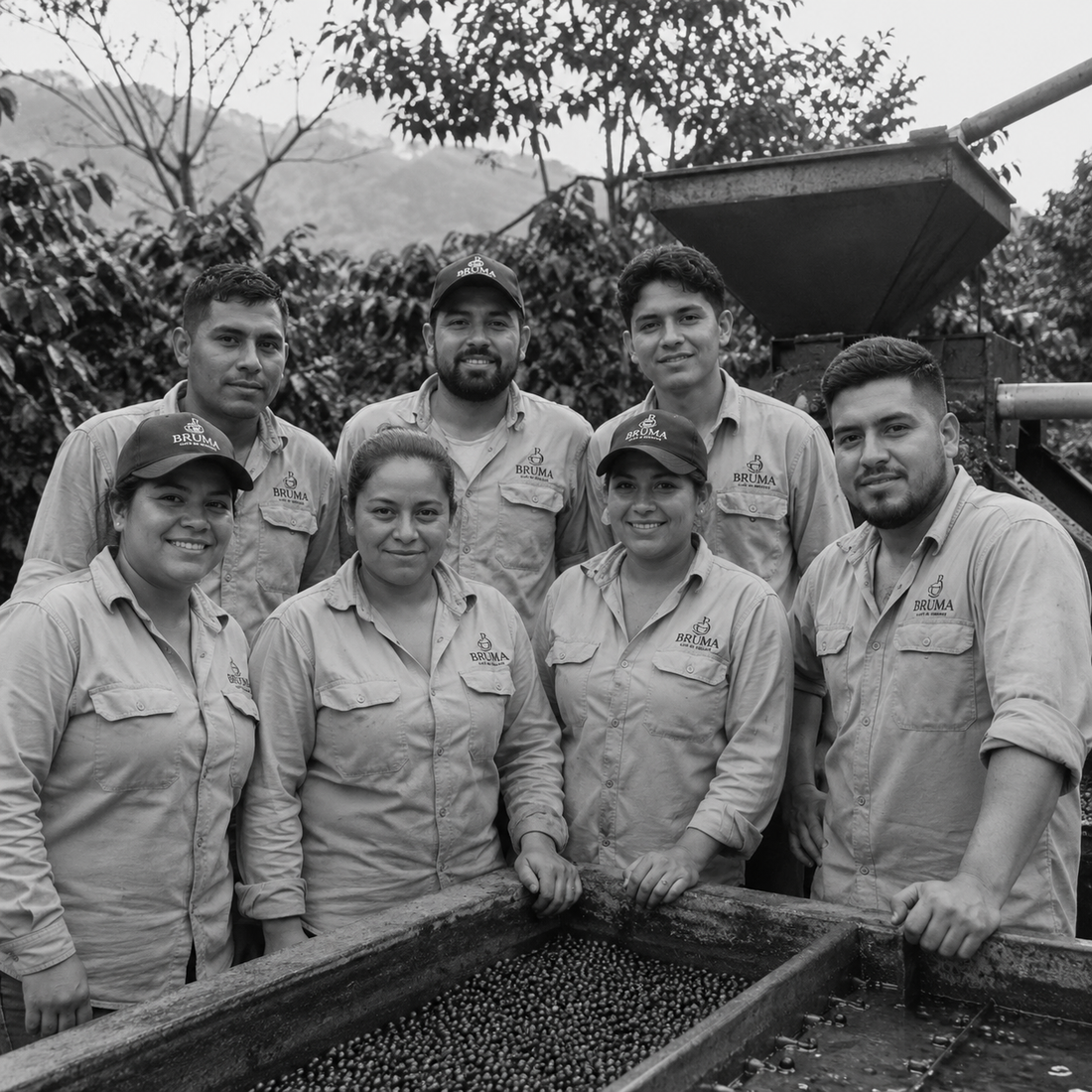 Cosechadores y Procesadores
