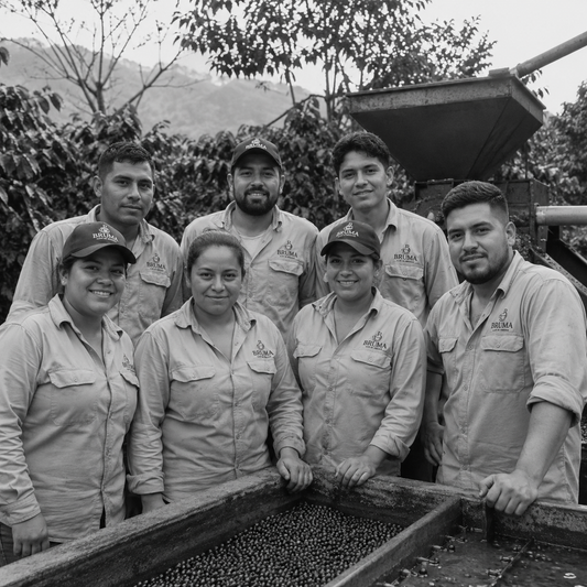 Cosechadores y Procesadores