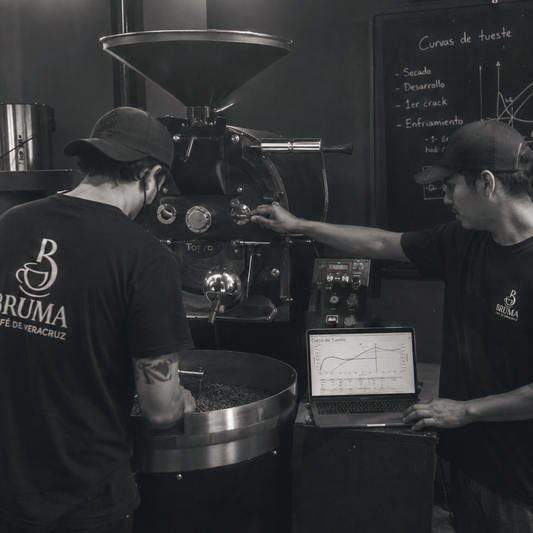 Franco Alcántara y Miguel Xotla - Master Roasters