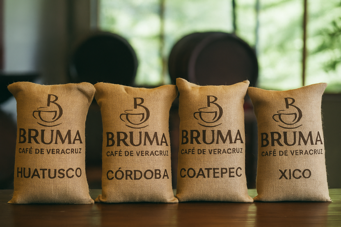 ¿Por qué el café de Veracruz es uno de los mejores de México y del mundo?