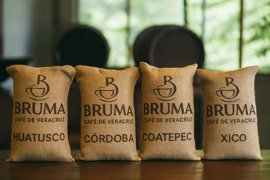 ¿Por qué el café de Veracruz es uno de los mejores de México y del mundo?