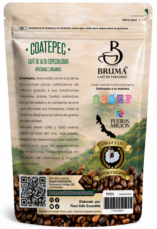Orígen Coatepec