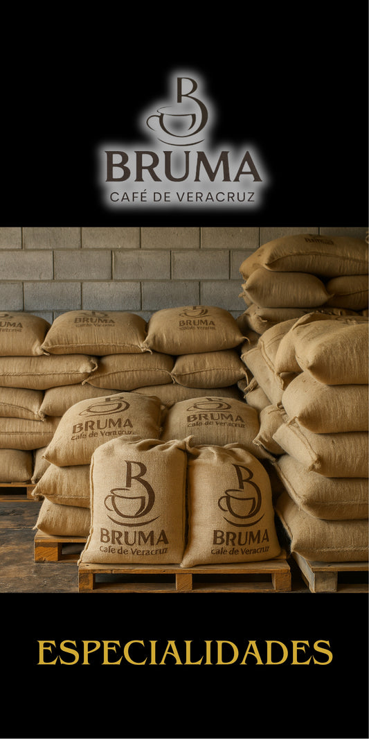 Bruma Especialidades