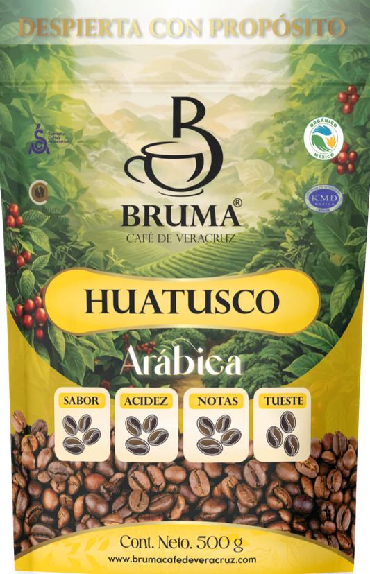 Origen Huatusco