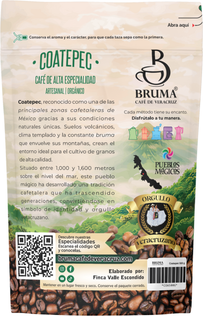 Orígen Coatepec