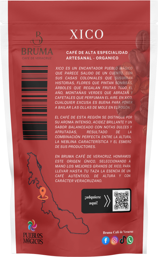 Bruma Café de Veracruz – Región Xico
