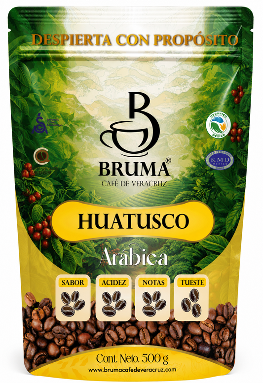 Origen Huatusco